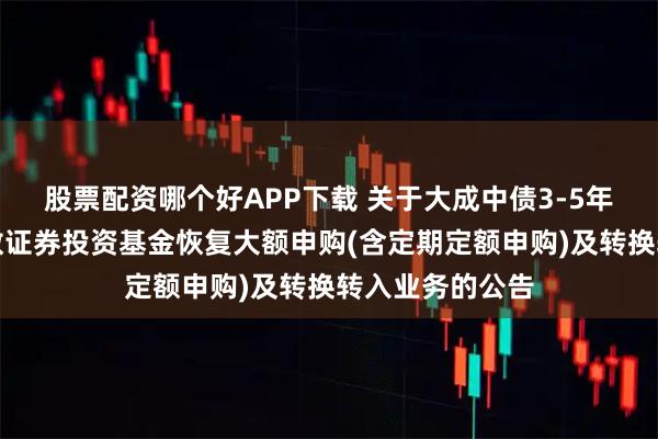 股票配资哪个好APP下载 关于大成中债3-5年国开行债券指数证券投资基金恢复大额申购(含定期定额申购)及转换转入业务的公告